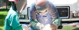 Summer STEM Camps