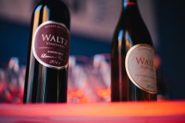 Wine Bottles