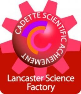 Cadette Badge