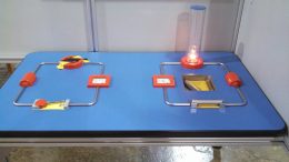 Circuit Exhibit